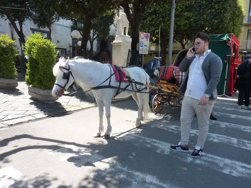La carrozzella a Sorrento: storia e tradizione