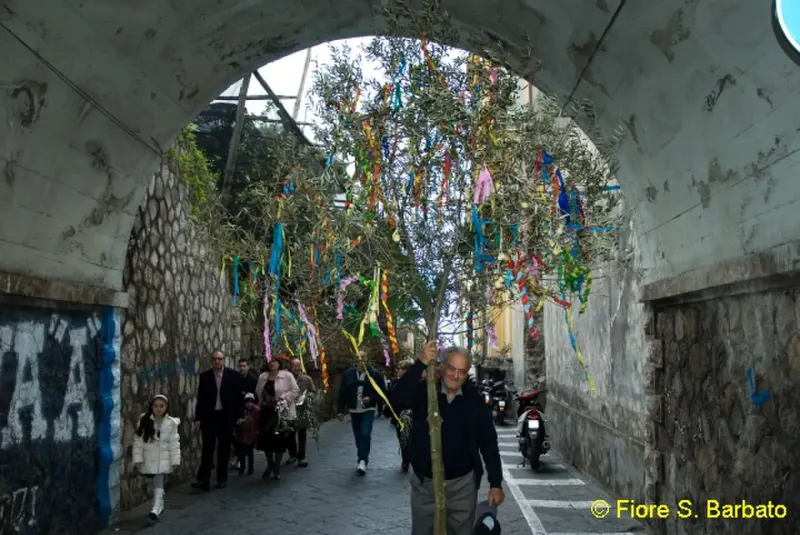 La Domenica delle Palme a Sorrento e le palme di confetti