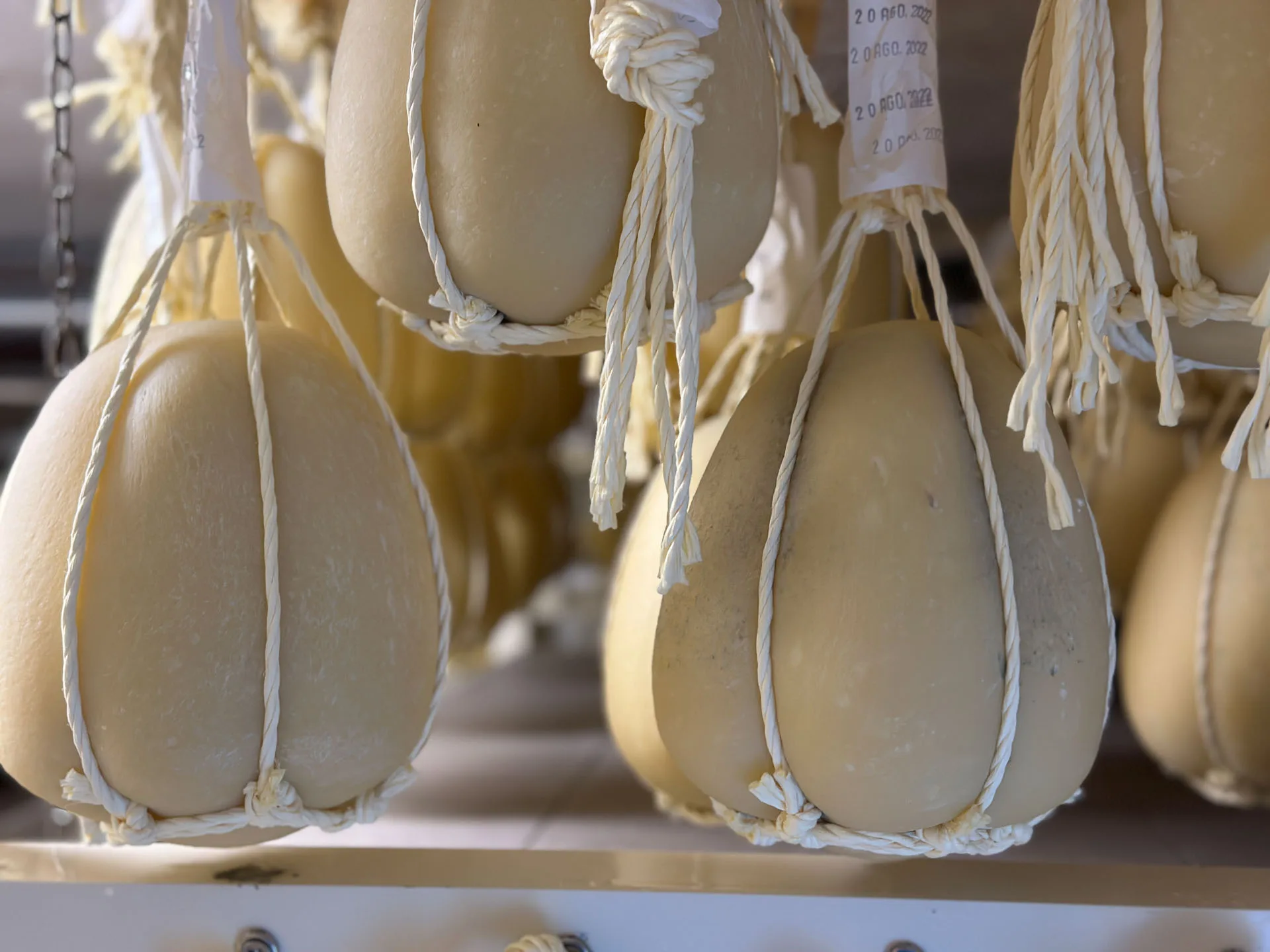 Provolone del Monaco DOP: el queso de los montes Lattari