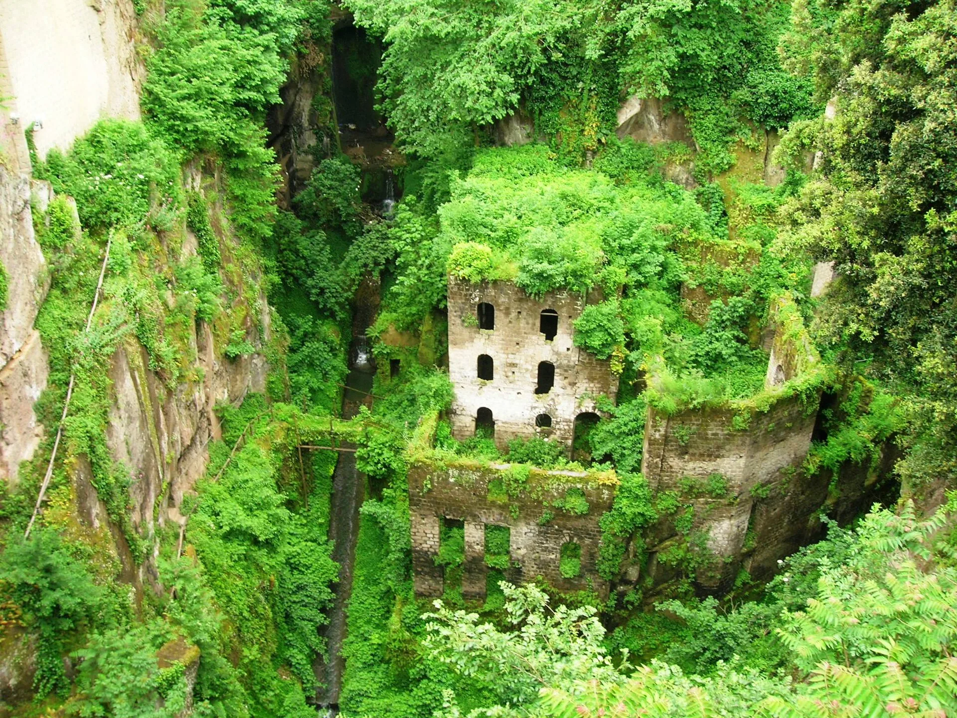 I ruderi del vecchio mulino avvolti dalla vegetazione in fondo al Vallone dei Mulini