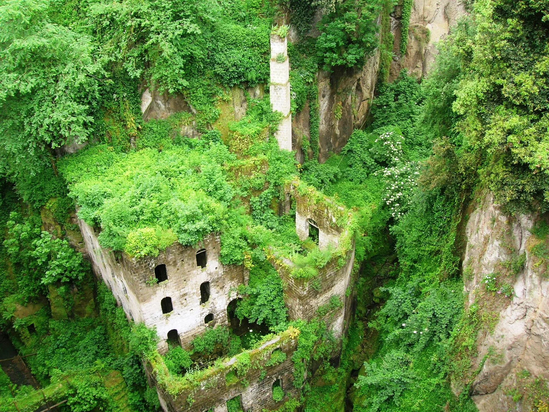 Muschi e felci ricoprono le pareti e gli edifici abbandonati del vallone