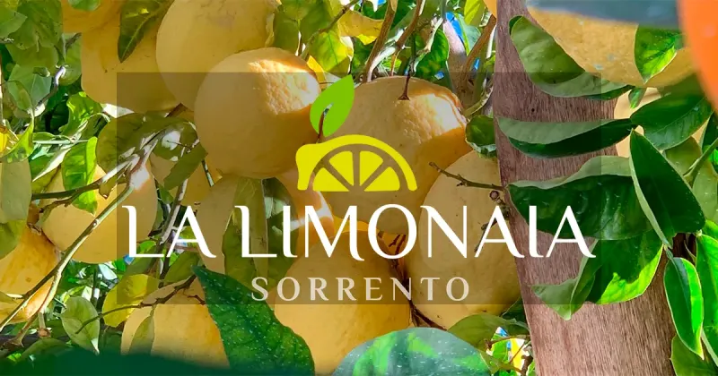La Limonaia – Sorrento